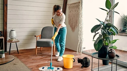 Woman mopping floor smiling at a cat sniffing the water bucket